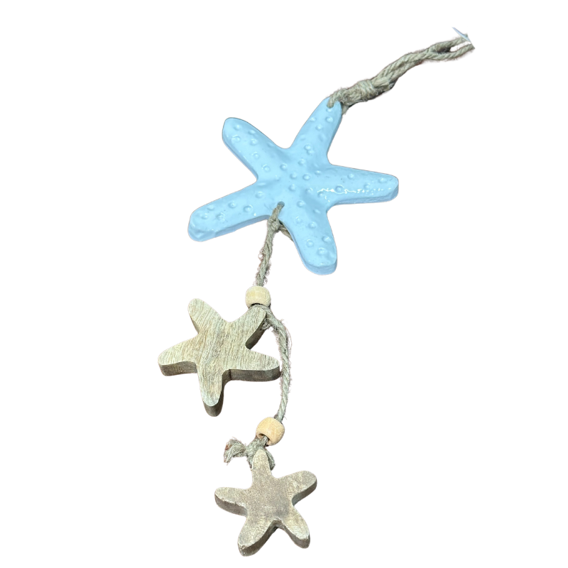 Starfish Hanger 18