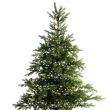 Load image into Gallery viewer, Mirco Warm White String Lights 160LED Battery Operated