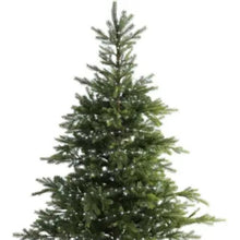 Load image into Gallery viewer, Micro Classic Warm String Lights 50LED Battery Operated