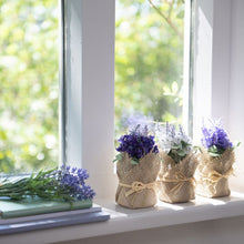 Load image into Gallery viewer, Lavender Pick 13"