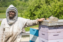 Load image into Gallery viewer, Creamed Honey