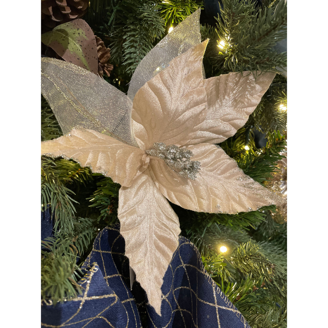 Poinsettia Champagne 10.2