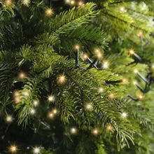 Load image into Gallery viewer, Warm White/Classic Warm String Lights 1000LED
