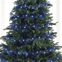 Load image into Gallery viewer, Coloured String Lights 1000LED
