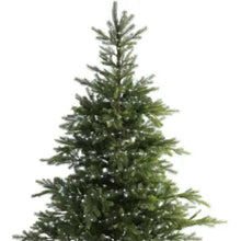 Load image into Gallery viewer, Micro Classic Warm String Lights 100LED Battery Operated
