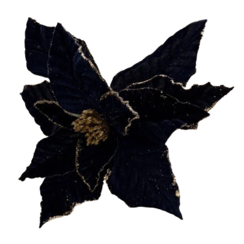 Midnight Blue Poinsettia 18