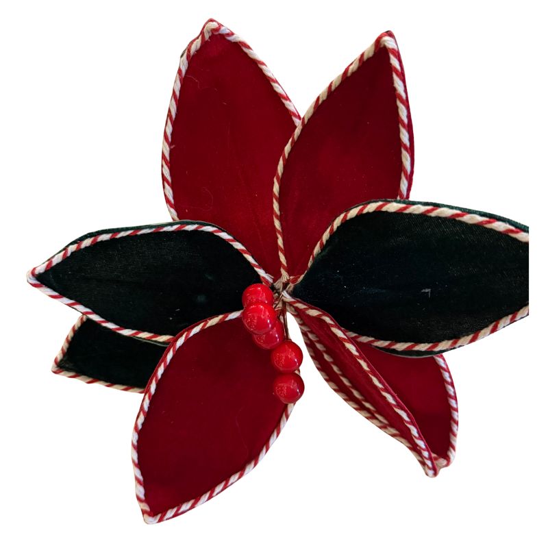 Red & Green Striped Edge Poinsettia 11