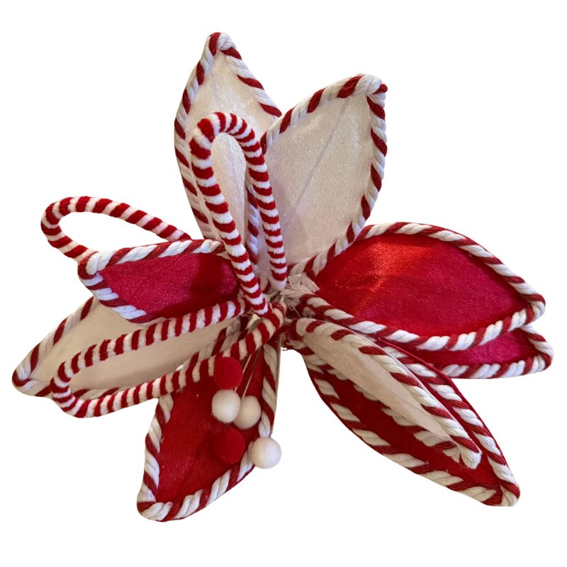 Candy Cane Poinsettia 12