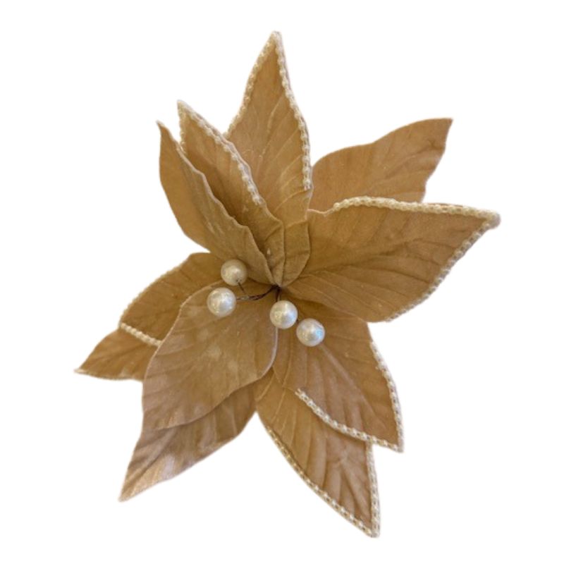 Champagne & Pearls Poinsettia 12