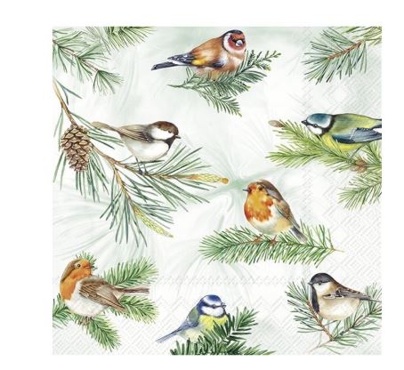 Charming Birds Luncheon Paper Napkins