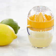 Load image into Gallery viewer, Mini Citrus Juicer
