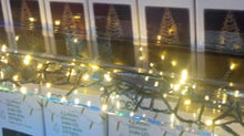 Load image into Gallery viewer, Battery Operated String Lights - 250 Count
