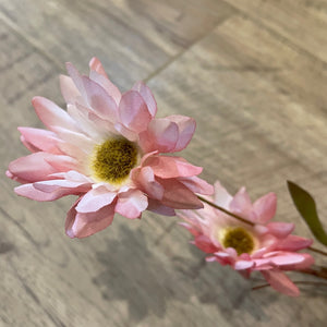 Pink Daisies Spray 22"