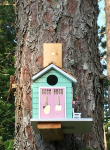 Birdhouse She Shed Mint/Pink