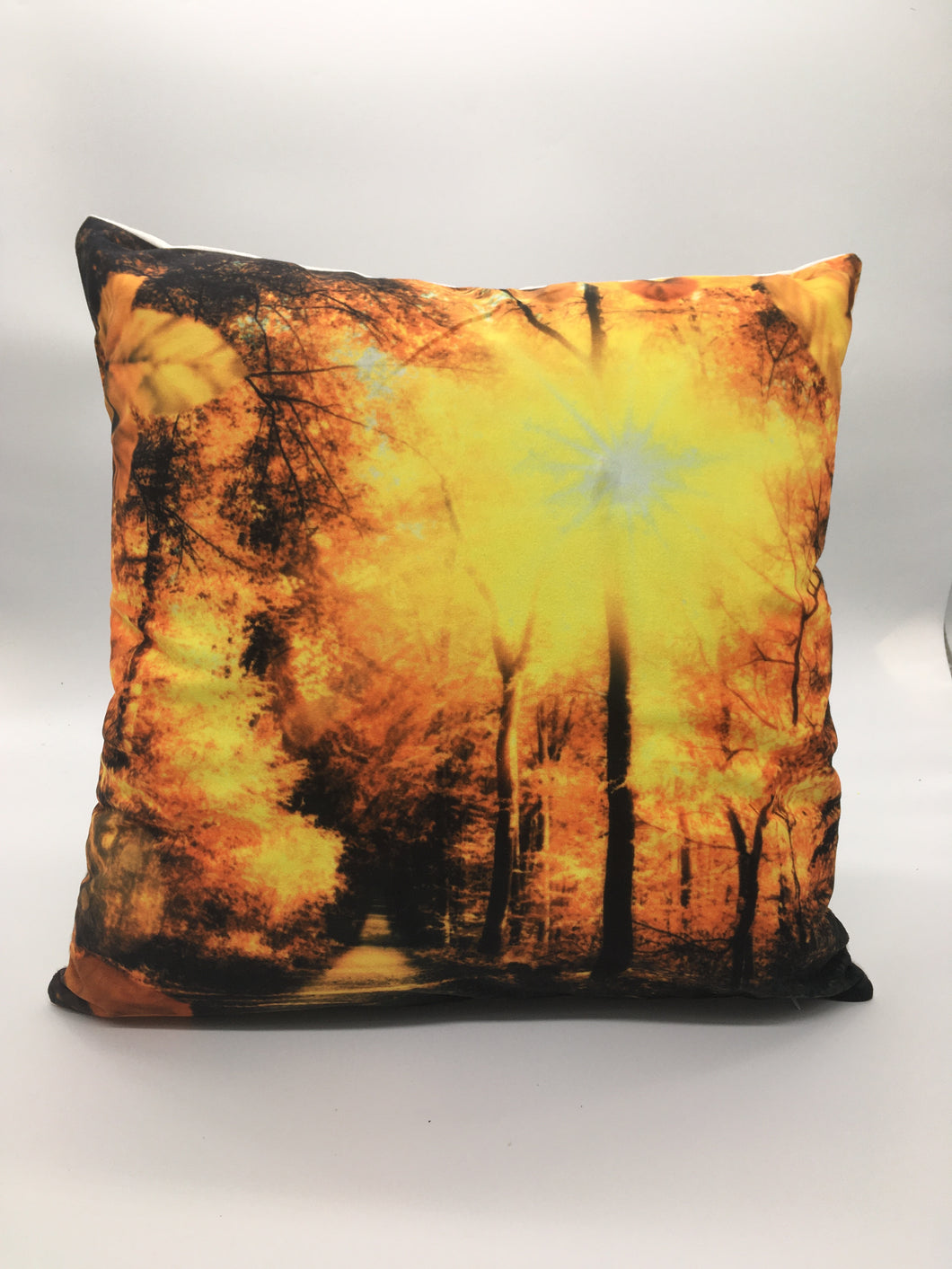 LED Square Pillow Park Light
