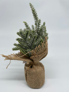 Mini Frosted Tree 10"