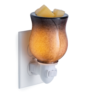 Obsidian Plug-In Warmer